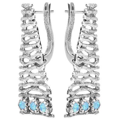 Silver Earrings
