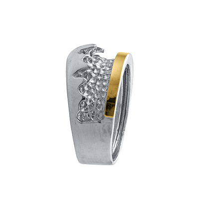 Silver and Gold Ring