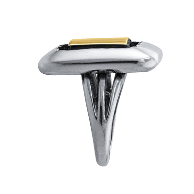 Silver and Gold Ring