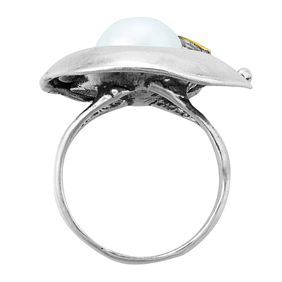 Silver and Gold Ring