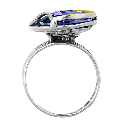Silver and Gold Ring