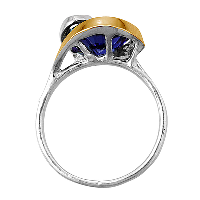 Silver and Gold Ring