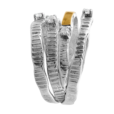 Silver and Gold Ring