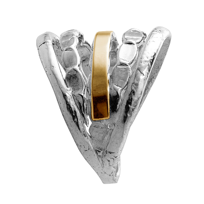 Silver and Gold Ring