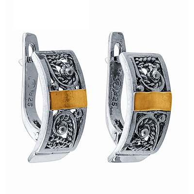 Silver and Gold Earrings