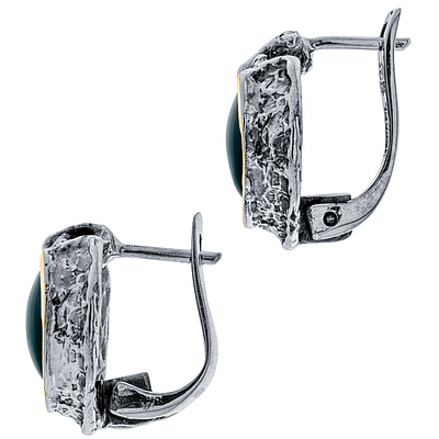 Silver and Gold Earrings