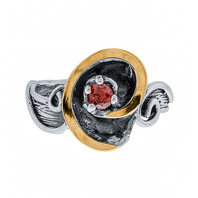 Silver and Gold Ring