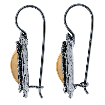 Silver and Gold Earrings 