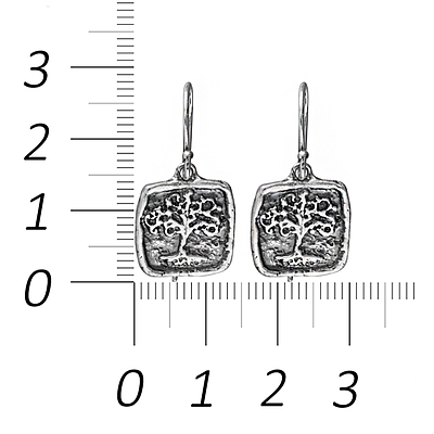 Silver Earrings