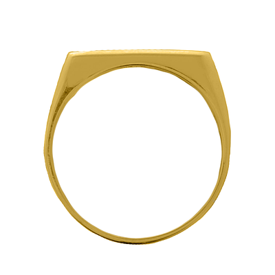 Gold or Platinum Plated Ring