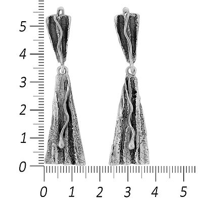 Silver Earrings