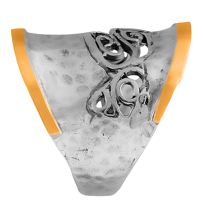 Silver and Gold Ring