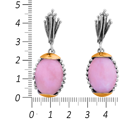 Silver and Gold Earrings