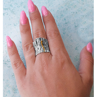 Silver and Gold Set