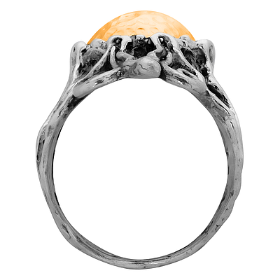 Silver and Gold Ring