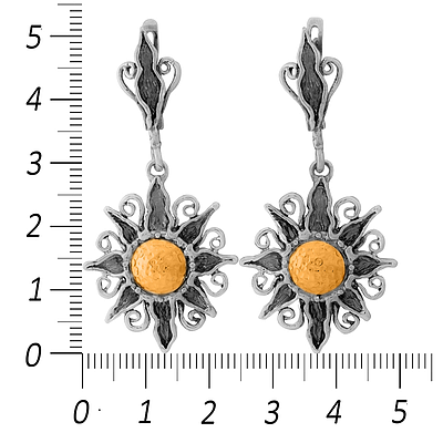 Silver and Gold Earrings