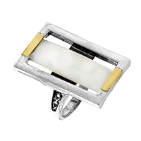Silver and Gold Earrings
