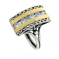 Silver and Gold Earrings