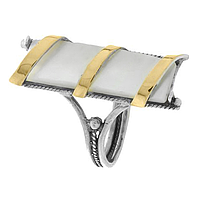 Silver and Gold Earrings