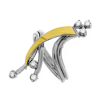 Silver and Gold Earrings