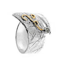 Silver and Gold Ring