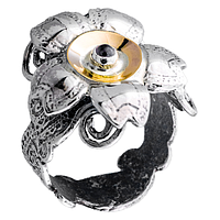 Silver and Gold Earrings