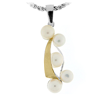 Silver and Gold Ring