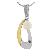 Silver and Gold Ring