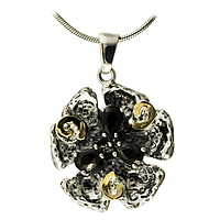 Silver and Gold Earrings
