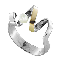 Silver and Gold Earrings