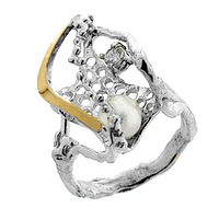 Silver and Gold Earrings