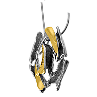 Silver and Gold Ring