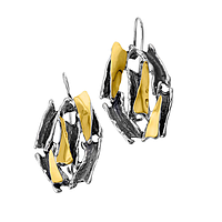 Silver and Gold Ring