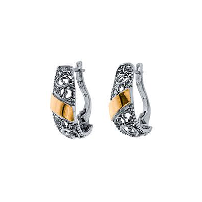 Silver and Gold Earrings