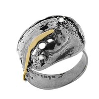 Silver and Gold Ring