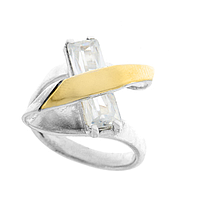 Silver and Gold Earrings