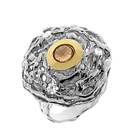 Silver and Gold Earrings