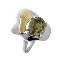 Silver and Gold Earrings