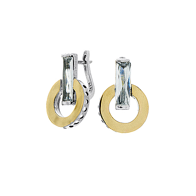 Silver and Gold Earrings