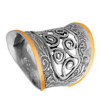Silver and Gold Ring