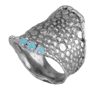 Silver Ring