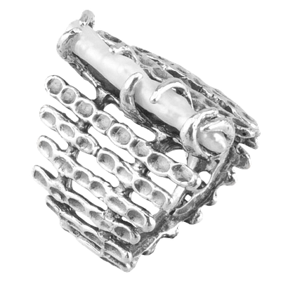 Silver Ring