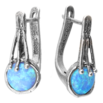 Silver Earrings
