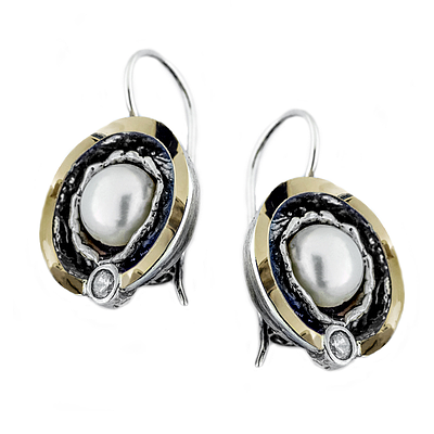 Silver and Gold Earrings