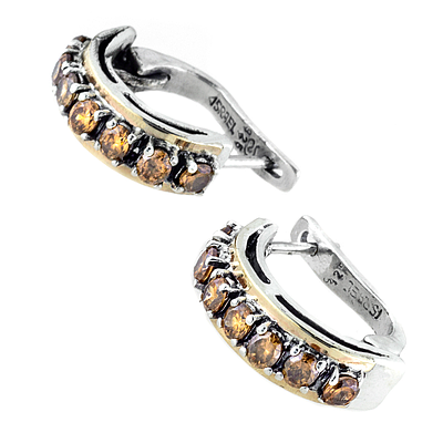Silver and Gold Earrings