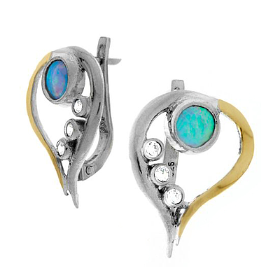 Silver and Gold Earrings