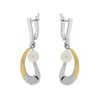 Silver and Gold Ring