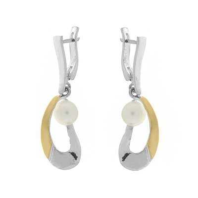 Silver and Gold Earrings