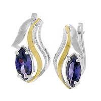 Silver and Gold Earrings