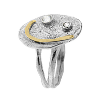 Silver and Gold Earrings